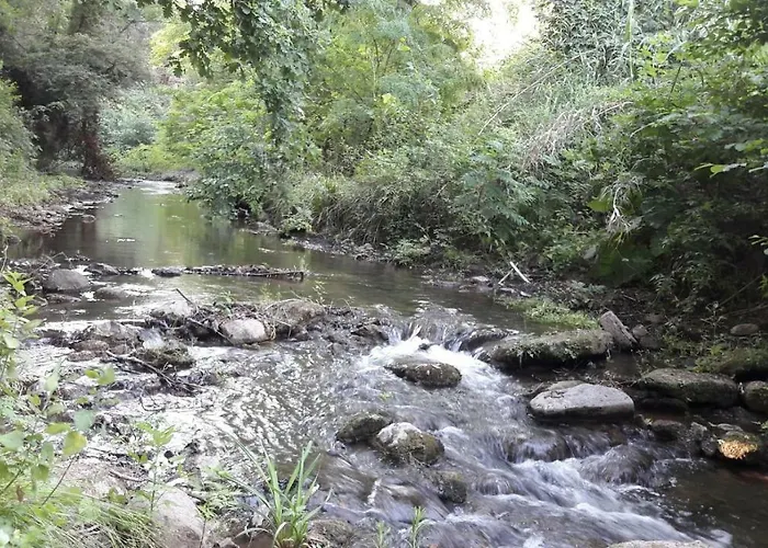 Montecaminetto