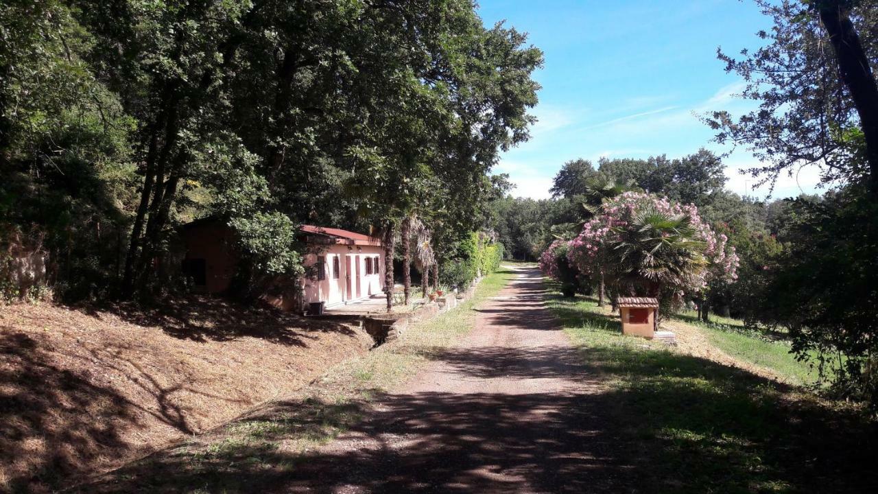 Farm stay Montecaminetto *